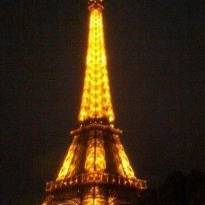 Meet your Posher, Delaney